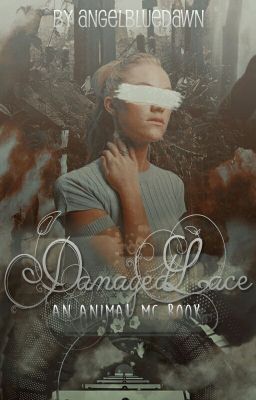 Damaged Lace. *The Animals MC book two.*