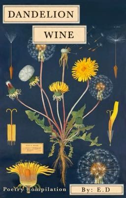 Dandelion Wine: a Poetry & Short Story Compilation