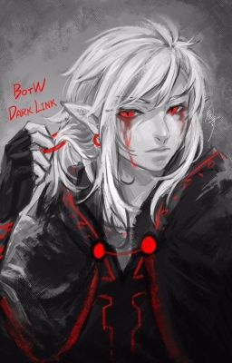 DARK LINK X READER:3