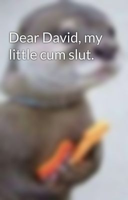 Dear David, my little cum slut.