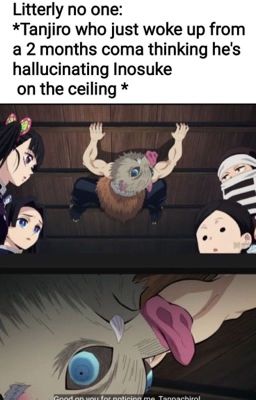 Demon slayer memes and art maybe some screenshots