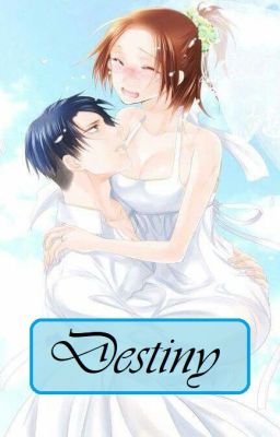 Destiny || LEVIHAN || DISCONTINUED