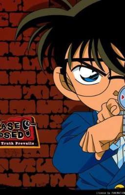 Detective Conan X Male Reader