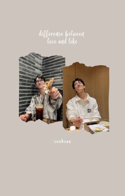 difference of love and like ; seoksoo