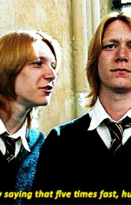 ...Do you, princess? /Fred Weasley x Reader