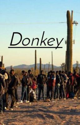 Donkey