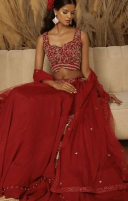 Double Layer Lehenga - Buy & Shop From Not Just Trivia