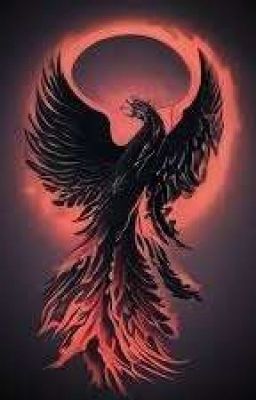 Draconic Phoenix