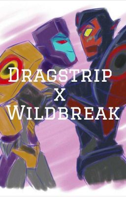 Dragsrtip x Wildbreak