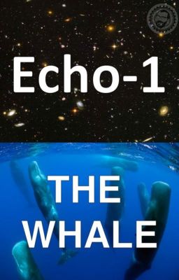 Echo-1 The Whale