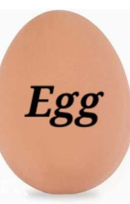 Egg