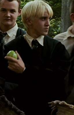 ENEMIES (Y/n Potter x Draco Malfoy)