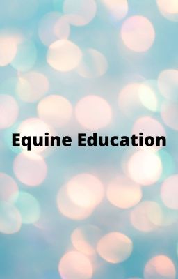 Equine Education