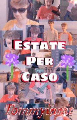 Estate per caso (Tommyinnit x reader)