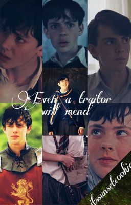 Even a traitor may mend [Edmund Pevensie x Reader]