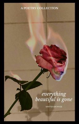 Everything Beautiful is Gone