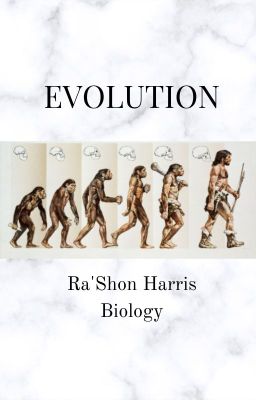 Evolution