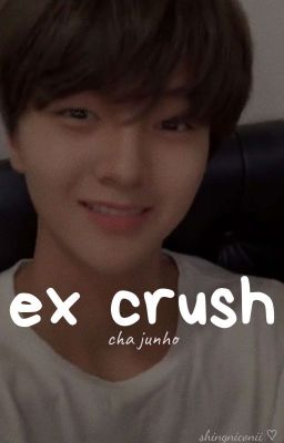 ex crush | cha junho