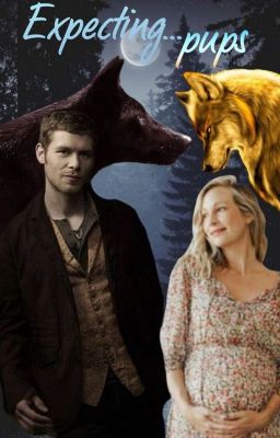 Expecting... Pups {Klaus Mikaelson x Caroline Forbes}