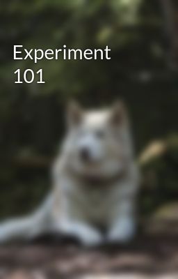 Experiment 101