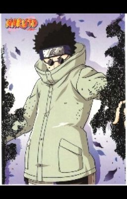 Falling in love with an Aburame (x reader)