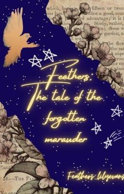 Feathers: The tale of the forgotten Marauder