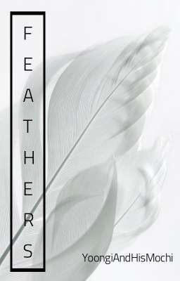 FEATHERS [vkook]