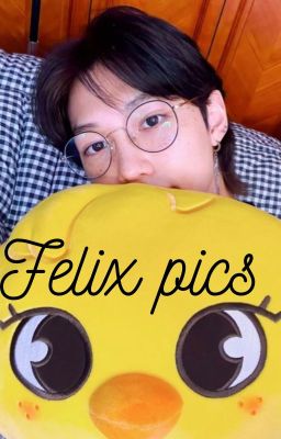 Felix pics