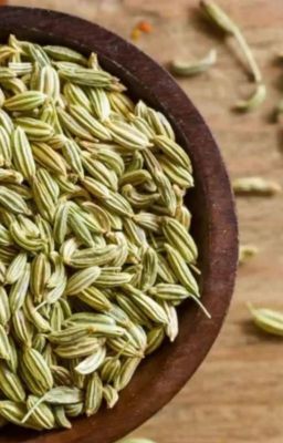 Fennel seeds: benefits, nutrition, and culinary Uses explained