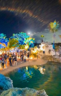 Fiesta en Punta Cana | fiestapuntacana.com