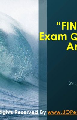 FIN 575 Final Exam