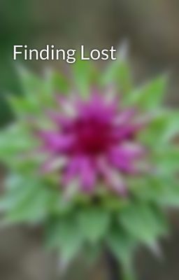 Finding Lost 