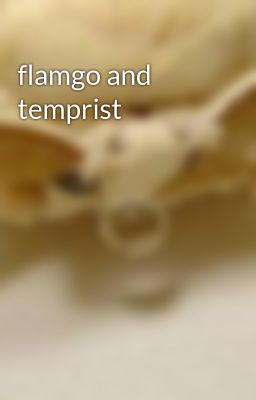 flamgo and temprist