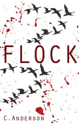 Flock