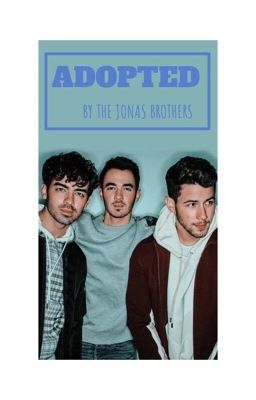 Fly With Me (a Jonas Brothers adoption story)