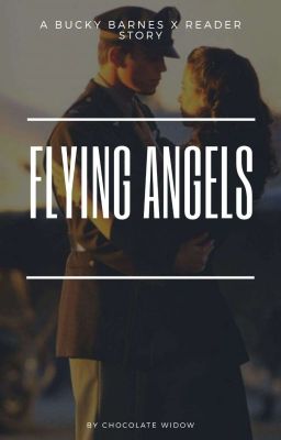 Flying Angel (Bucky Barnes x reader)