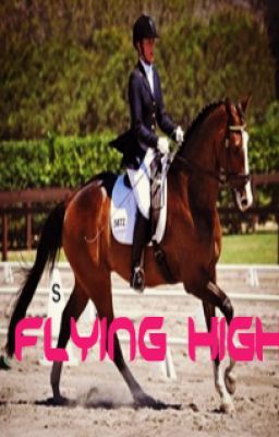 Read Stories Flying High - TeenFic.Net