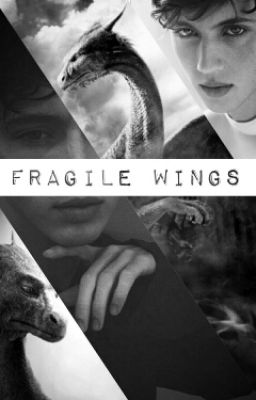 Fragile Wings (boyxboy)