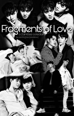 Fragments of Love: A ZaintSee Collection