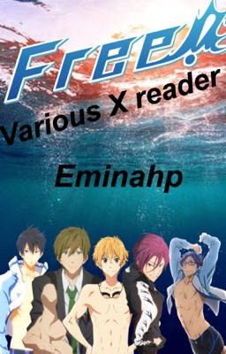 Free! Various X Reader 