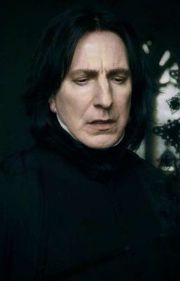 •°From Peer to Professor°• Severus Snape x Reader