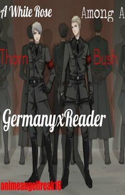 GermanyxReader