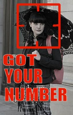 Got Your Number--a Person of Interest/NCIS crossover