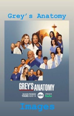 Grey's Anatomy images.