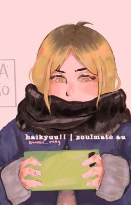 haikyuu!! | soulmate au [ haikyuu!! x reader ]