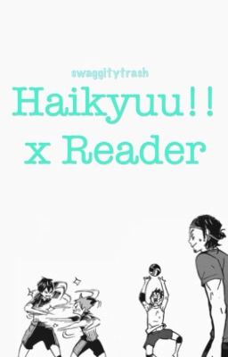 haikyuu!! x reader