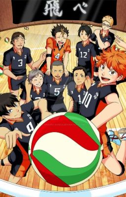 Haikyuu!! x Reader