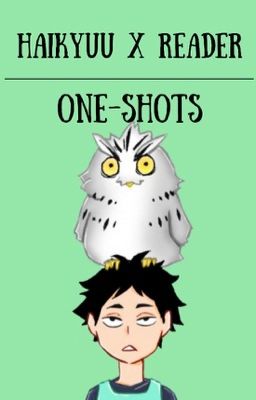 Haikyuu X Reader One-Shots