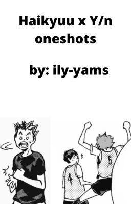 Haikyuu x Y/n oneshots