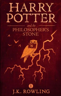 Harry Potter Male Reader Insert - Book 1